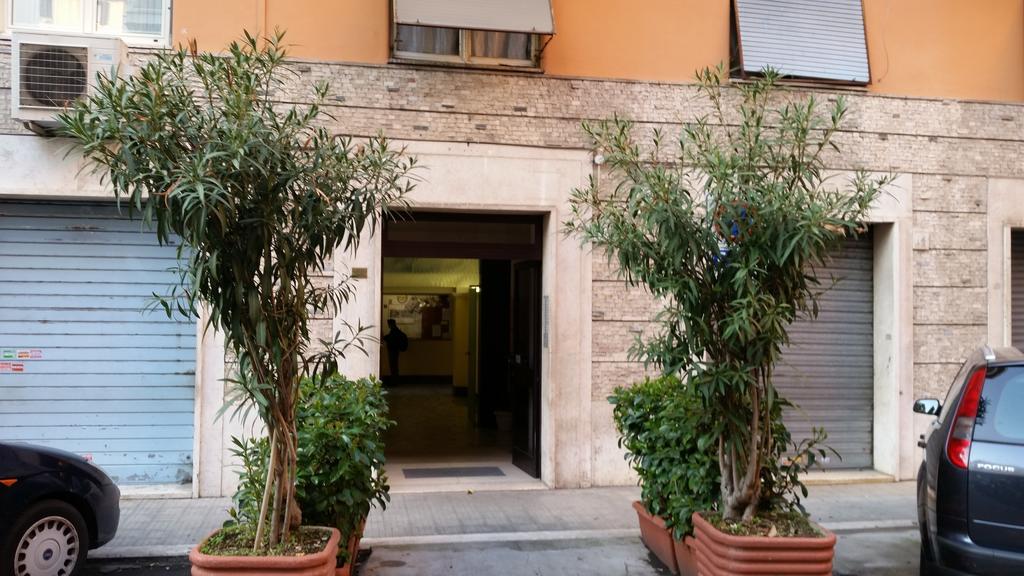 Andreina A San Pietro